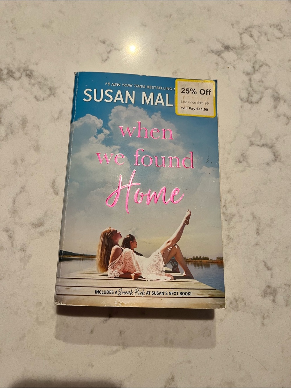 "When We Found Home" Paperback Book - Blue/Pink Cover